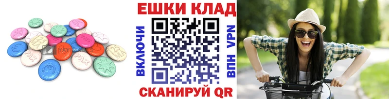 мориарти состав  Чаплыгин  KRAKEN как войти  ЭКСТАЗИ Philipp Plein  купить  сайты 